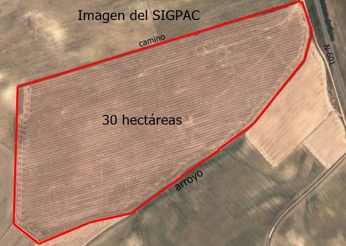 MAPA DE PARCEL.LES I CULTIUS DE LES EXPLOTACIONS AGRÀRIES DE CATALUNYA (DUN i SIGPAC) 