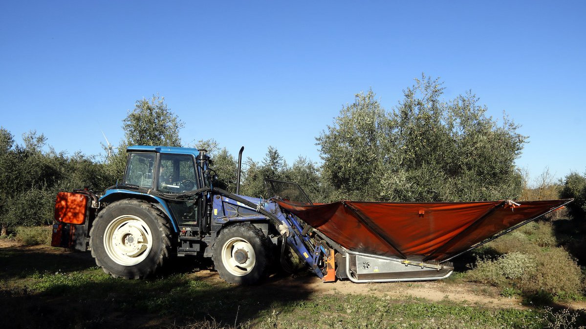 ESTUDI DE LA RENDA AGRÀRIA A CATALUNYA 2026